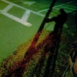 Meet your Posher, Ronnie